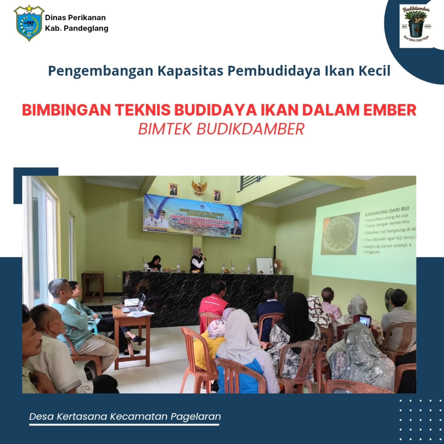 Bimbingan Teknis Budidaya Ikan di dalam Ember (Budikdamber)